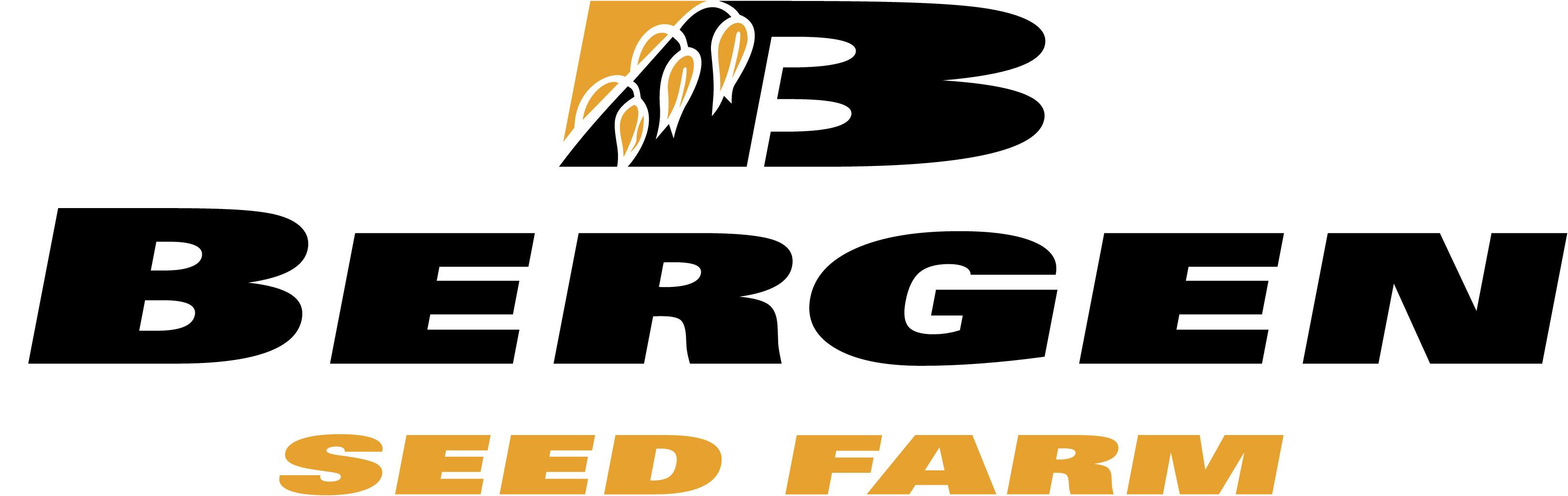 Ed Bergen logo