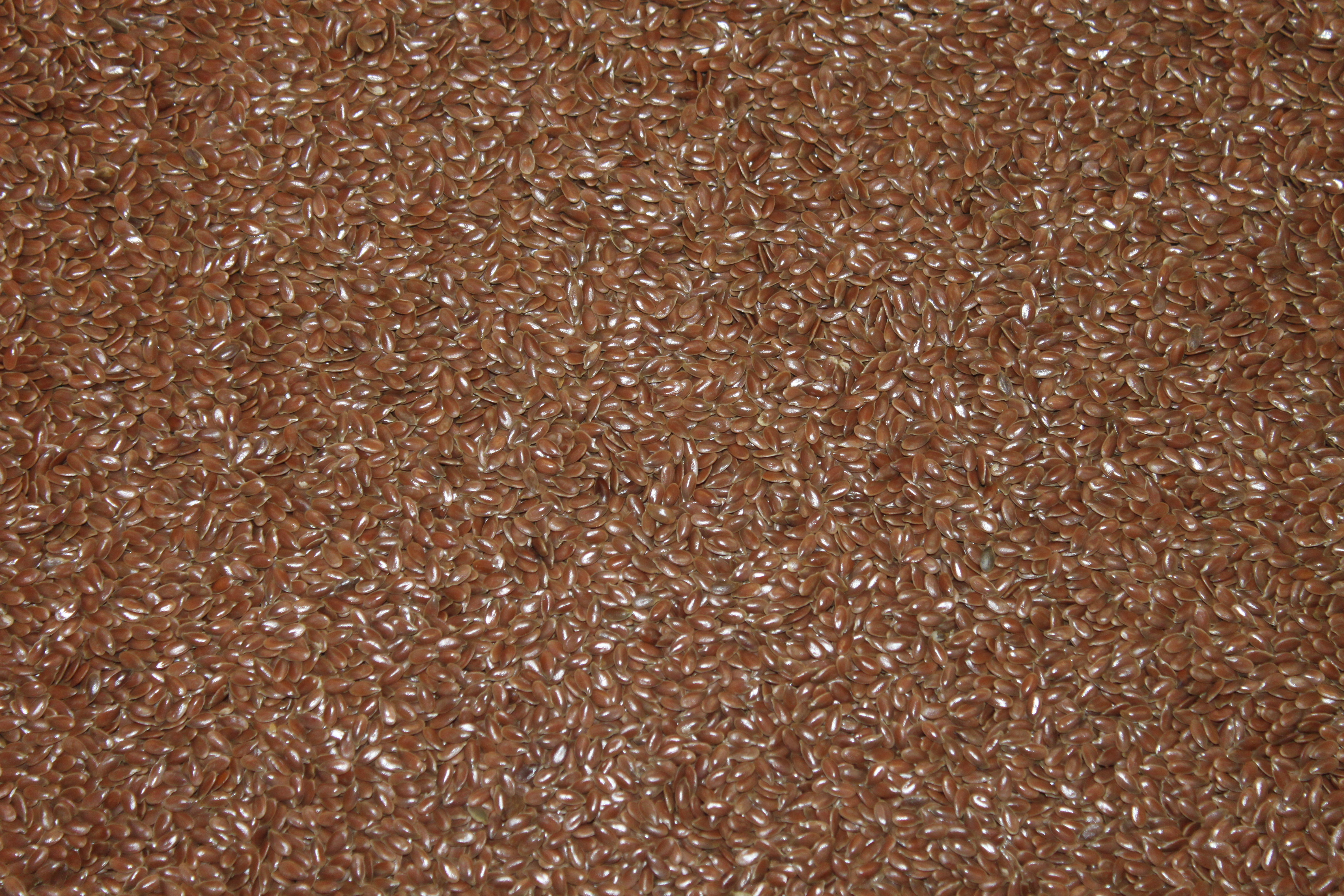 CDC Bethune image 1