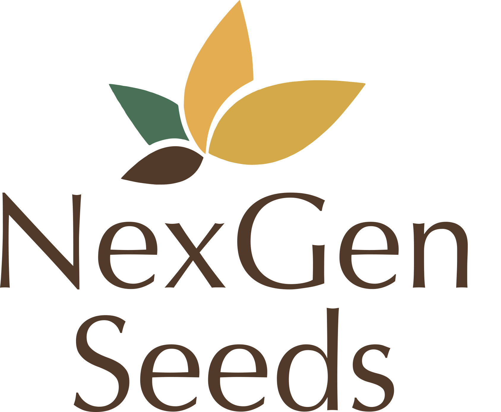 NexGen Seeds Ltd logo