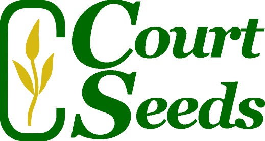 Court Seeds logo
