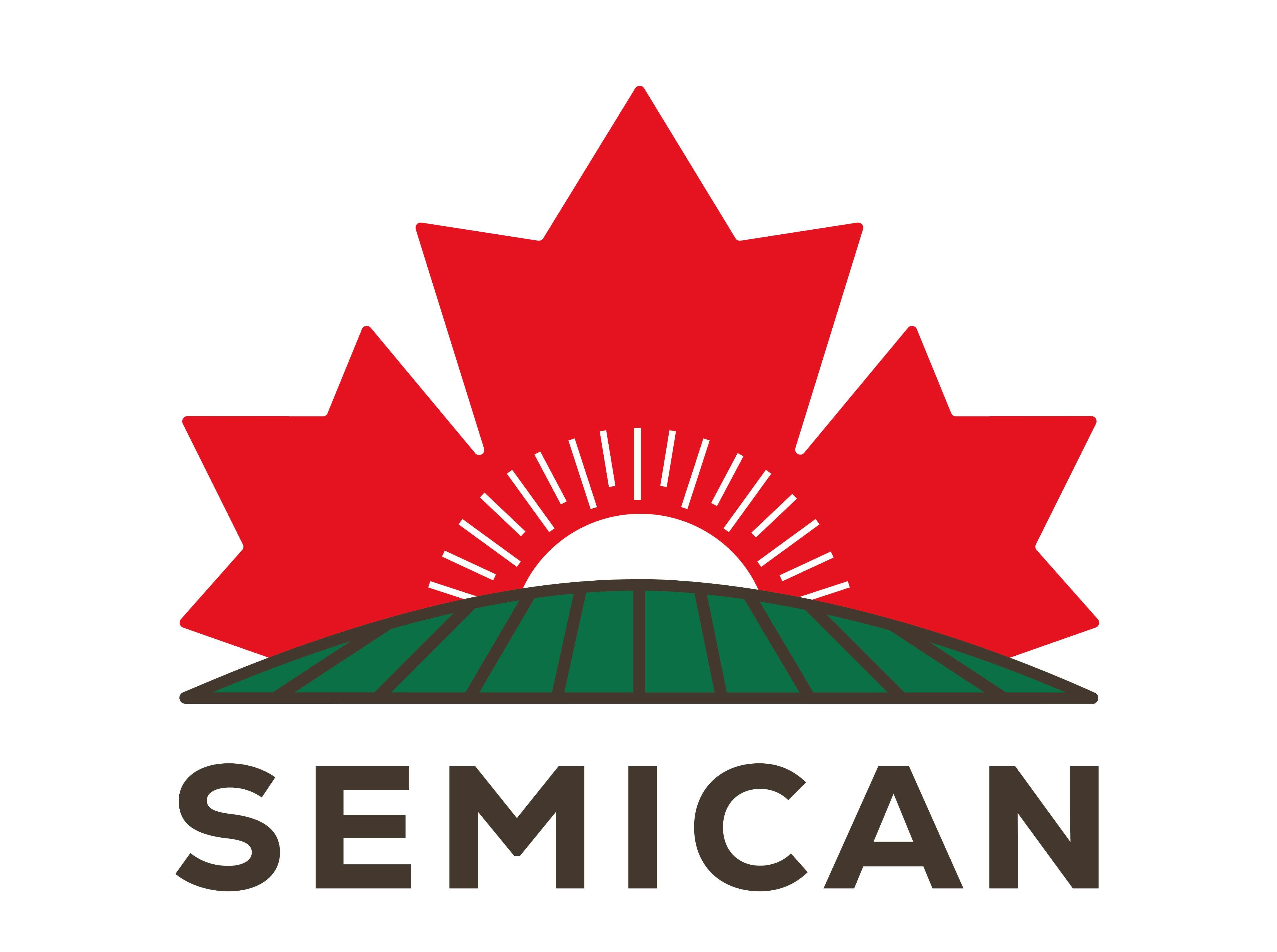 Semican Inc. logo