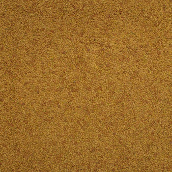 Dawn image 1