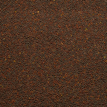 AC® Synergy image 1