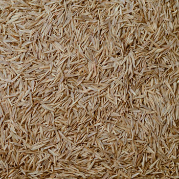 AC® Admiral image 1