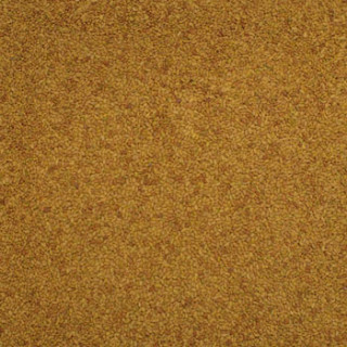 Norgold